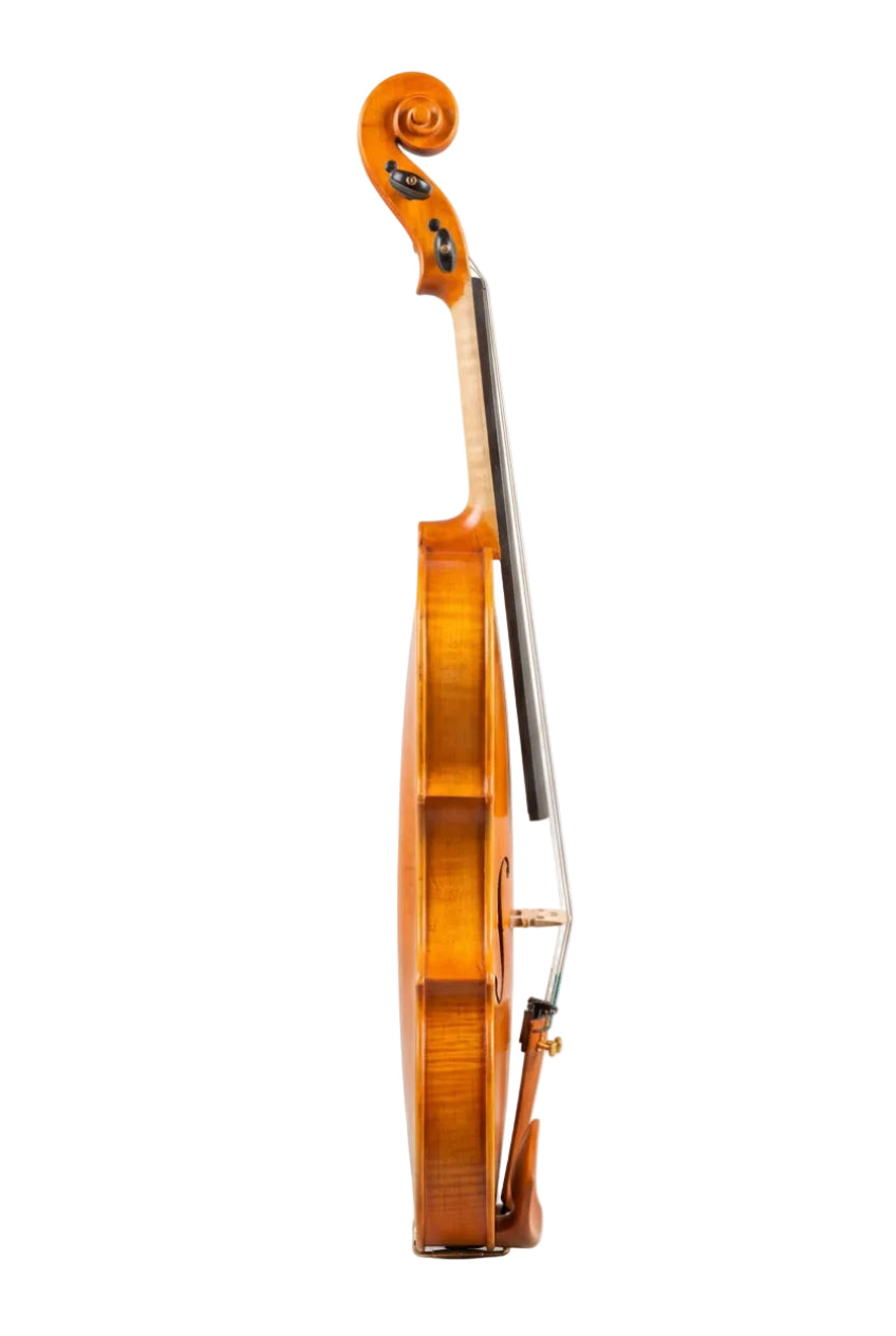 VIOLIN - NATURAL 25 YEARS AGED WOOD 4/4 - SNVL301