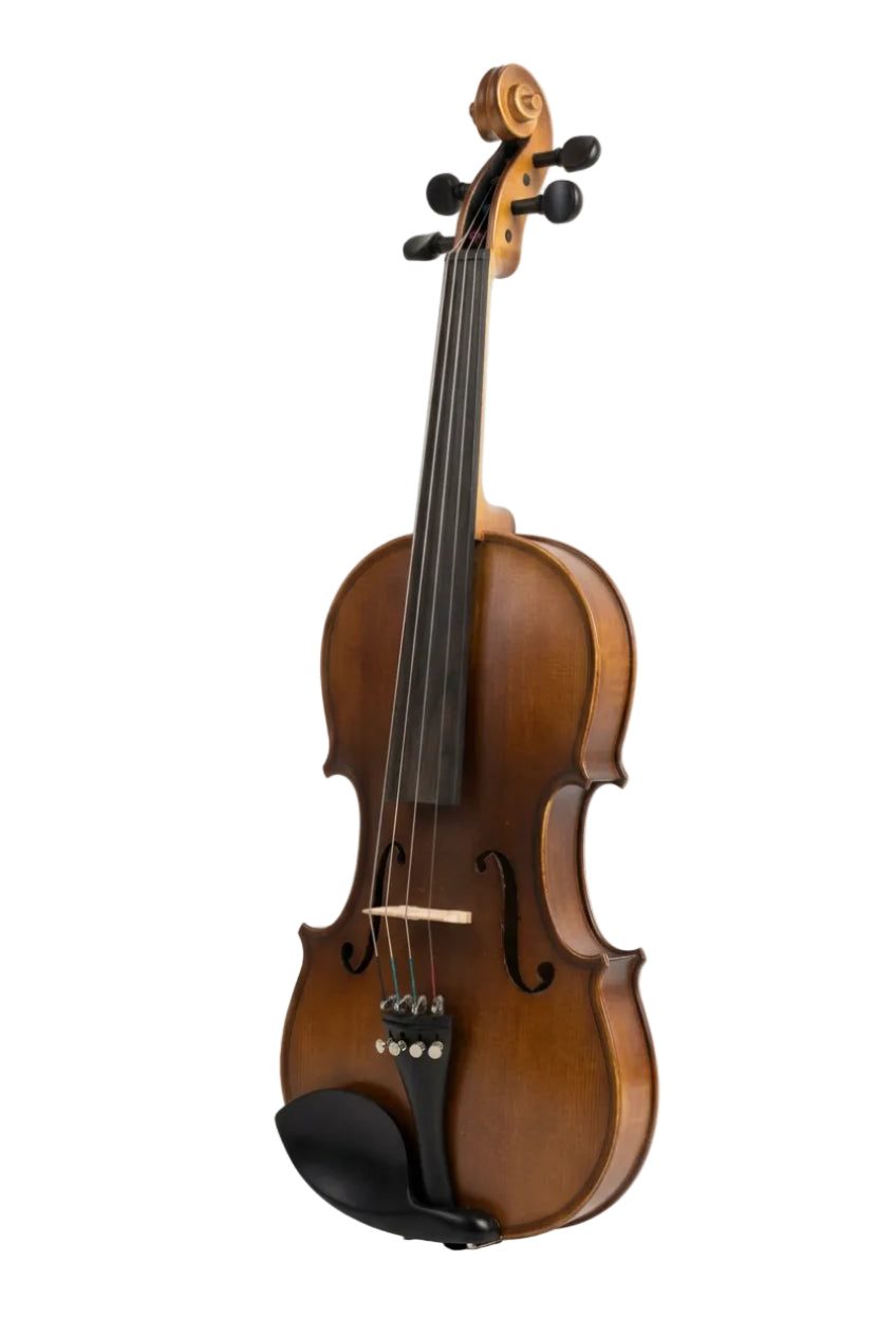 VIOLIN - NATURAL BROWN 10 YEARS AGED WOOD 4/4 - SNVL101