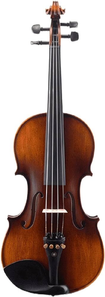 VIOLIN-SNVL301-FLAME MAPLE.