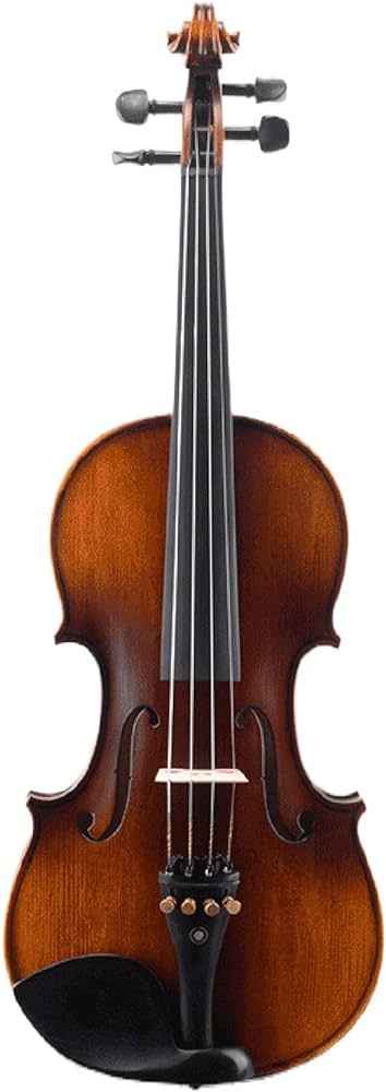 VIOLIN-SNVL301-FLAME MAPLE. - Hawamusical - Lebanon