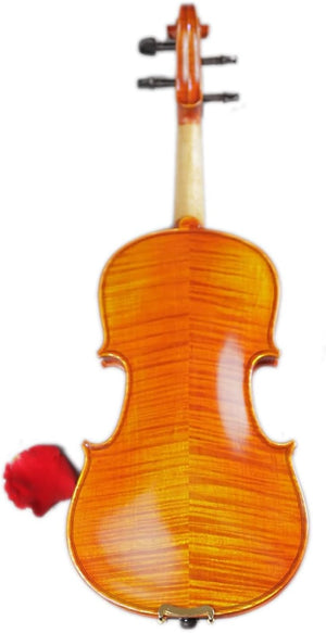 VIOLIN-SNVL103