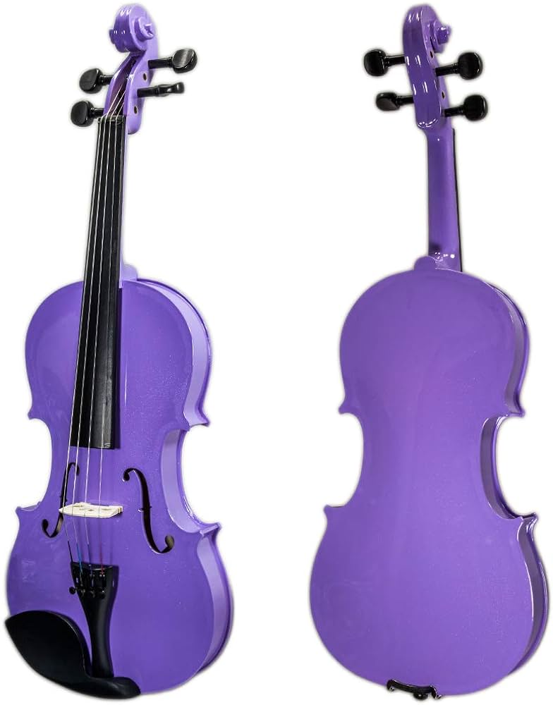 VIOLIN- SNVL001- PURPLE 4/4