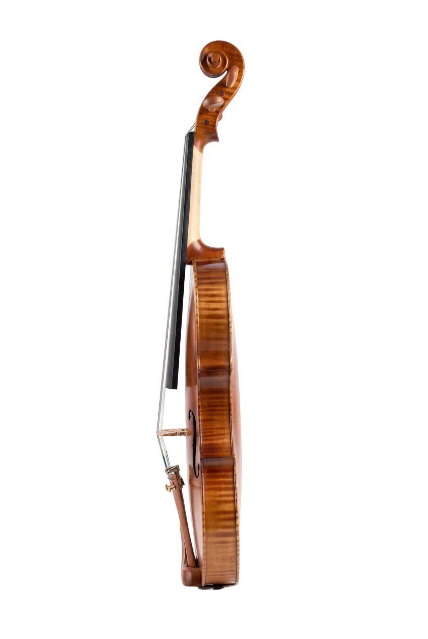 VIOLIN - BROWN MAT 4/4 - SNVL401