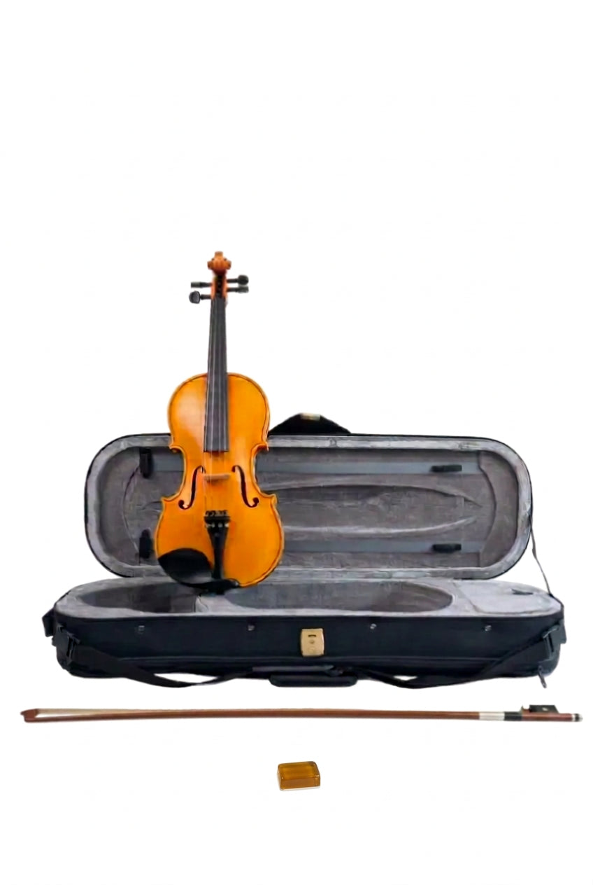 VIOLIN - NATURAL 25 YEARS AGED WOOD 4/4 - SNVL301