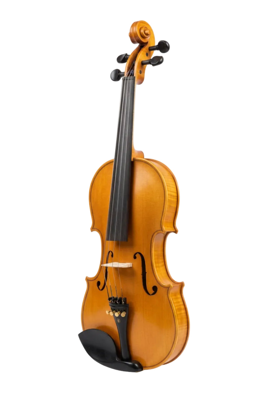 VIOLIN - NATURAL 25 YEARS AGED WOOD 4/4 - SNVL301