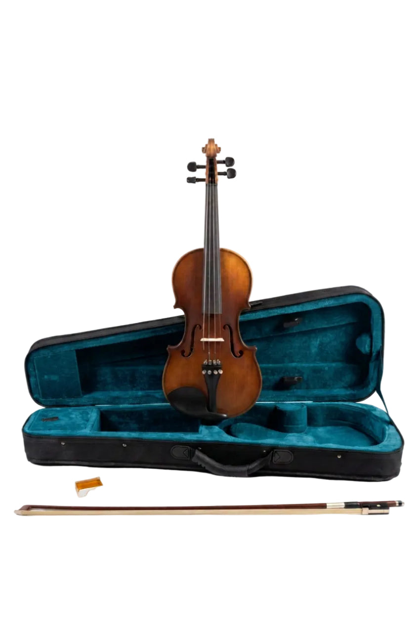 VIOLIN - NATURAL BROWN 10 YEARS AGED WOOD 4/4 - SNVL101