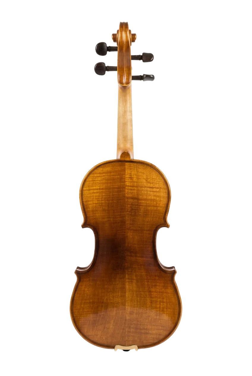 VIOLIN - NATURAL BROWN 10 YEARS AGED WOOD 4/4 - SNVL101