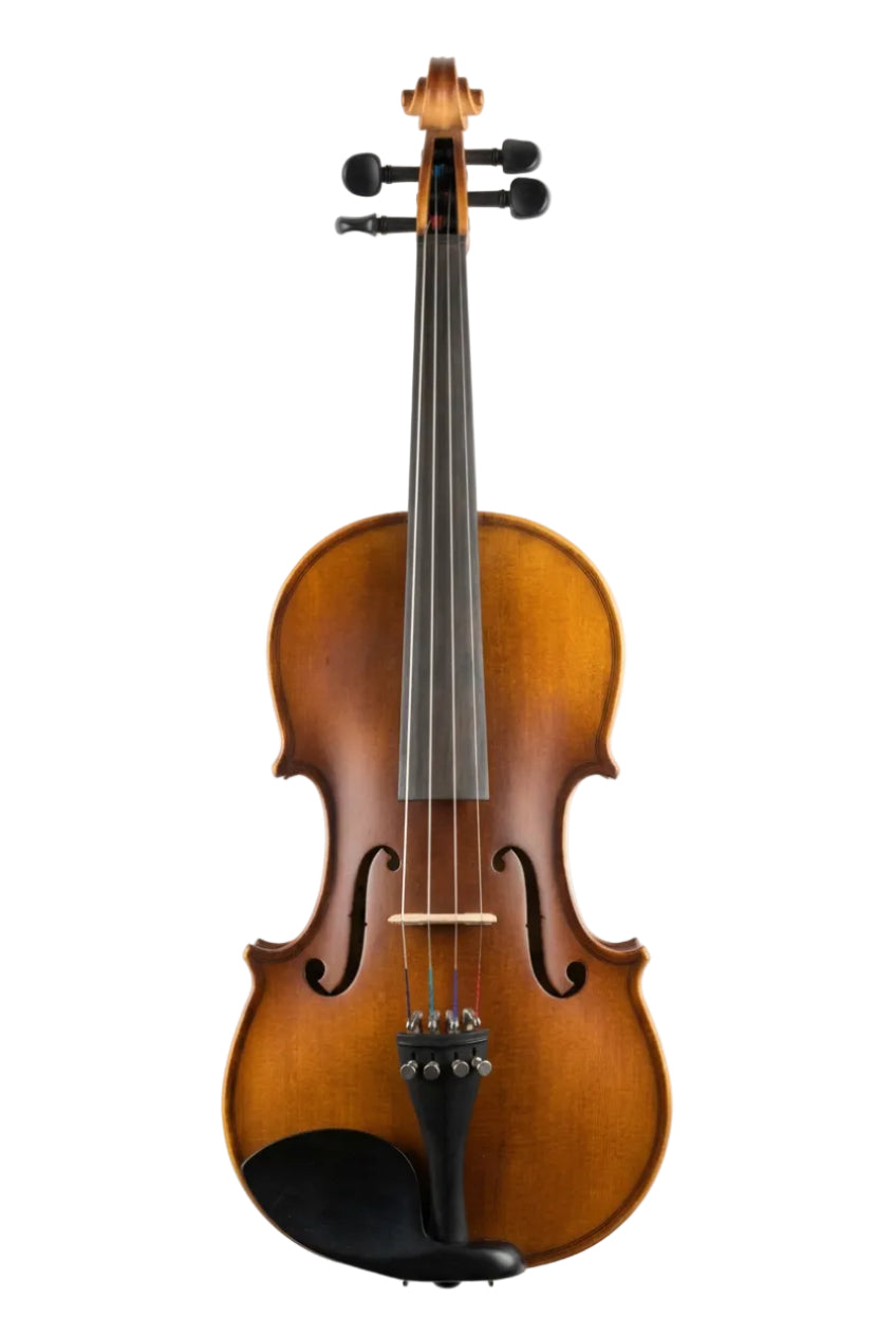 VIOLIN - NATURAL BROWN 10 YEARS AGED WOOD 4/4 - SNVL101