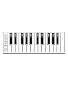 X-KEY 25 SILVER