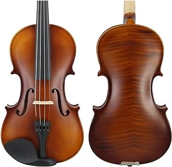VIOLIN-SNVL301-FLAME MAPLE.