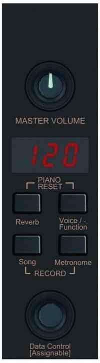Artesia RP-220 Digital Piano – 88-Key Graded Hammer Action with 3 Pedals, 8 Voices & Recording - Hawamusical - Lebanon