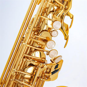 SAXOPHONE - TENOR - GOLD - SONOR